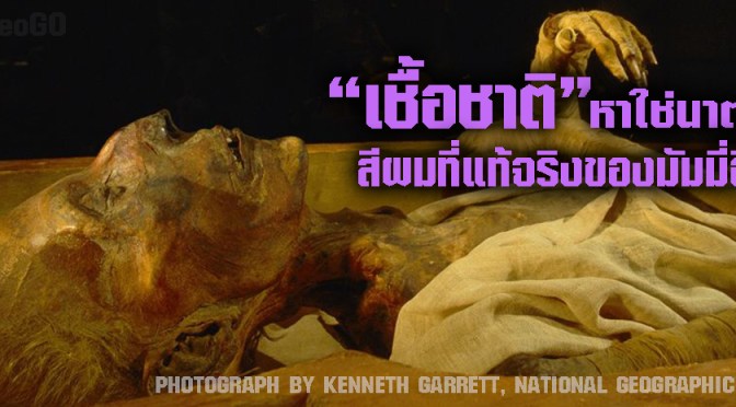 เชื้อชาติหาใช่ “นาตรอน” : เหตุเกิดของมัมมี่ผมแดงและผมทองในอียิปต์